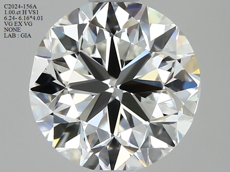 2424665740 Diamant Natural ROUND VS1