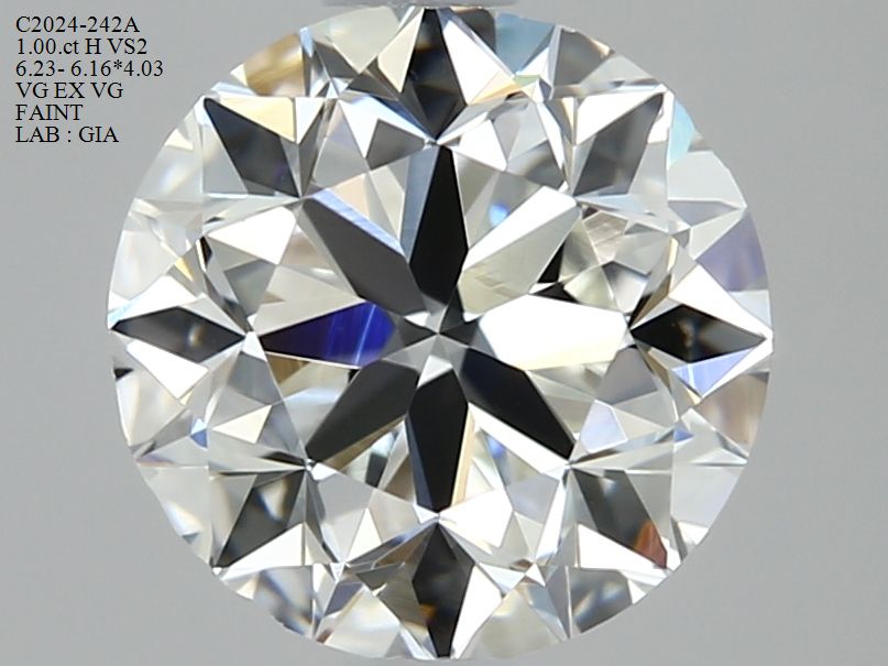 2426663140 Diamant Natural ROUND VS2