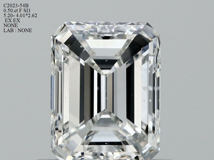 arjivexportssmC2023-54B Diamant Natural EMERALD SI1