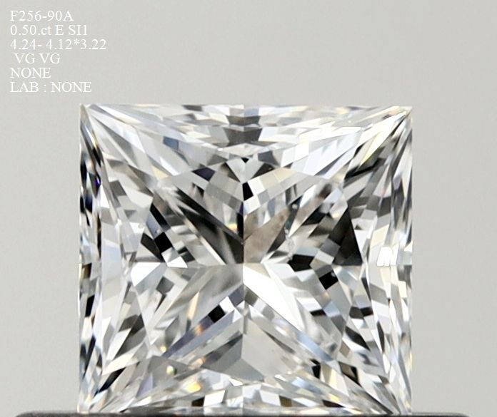 arjivexportssmF256-90A Diamant Natural PRINCESS SI1