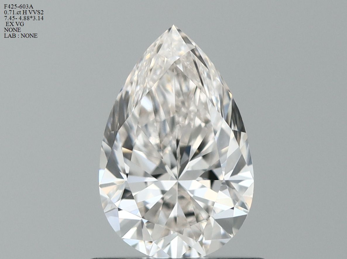 arjivexportssmF425-603A Diamant Natural PEAR VVS2